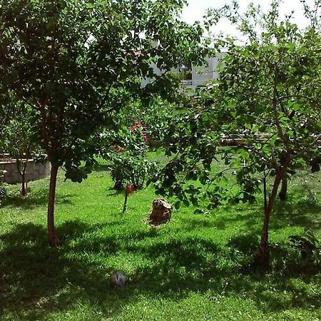Sunny Garden Studio Athens Luaran gambar