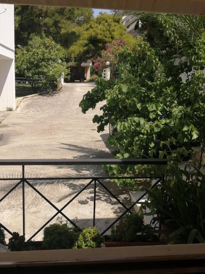 Sunny Garden Studio Athens Luaran gambar