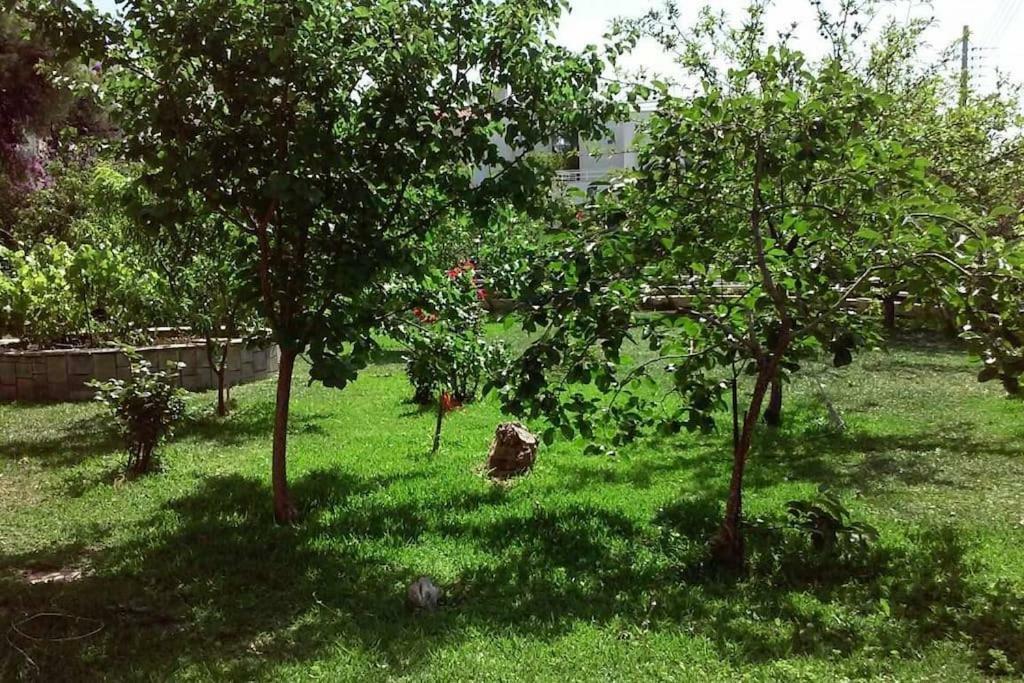 Sunny Garden Studio Athens Luaran gambar
